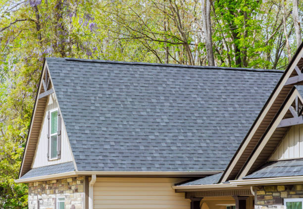 Best Roof Leak Repair  in Hatch, NM